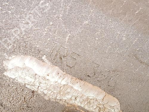 Gearbox RENAULT MEGANE IV Hatchback (B9A/M/N_) 1.6 16V | BP26208775M3 - Image 5