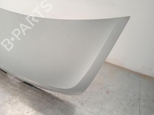 Hood RENAULT MASTER III Platform/Chassis (EV, HV, UV) 2.3 dCi 125 FWD (EV0C, EV0D, EV0J, HV0C, HV0D, HV0H,... | BP29395487C1 