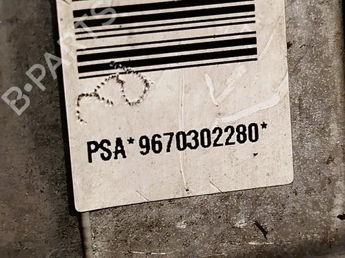 Steering pump PEUGEOT 407 (6D_) 2.0 HDi 135 (6DRHRH, 6DRHRE, 6DRHRG, 6DRHRJ) | BP28217870M99 