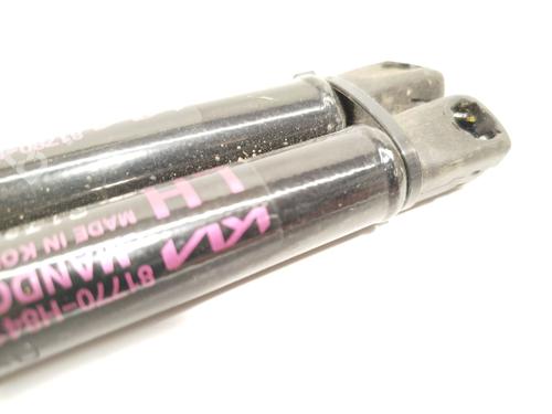 Tailgate lift support KIA STONIC (YB) 1.0 T-GDi Eco-Dynamics+ | BP26206966C138