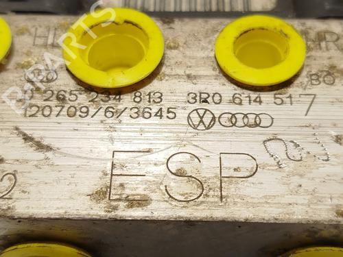 ABS pump SEAT EXEO ST (3R5) | BP31143038M43