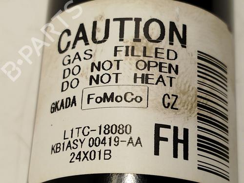 Right rear shock absorber FORD PUMA (J2K, CF7) | BP30125248M19