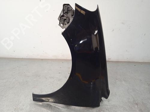 Used Left front fenders VW POLO (9N_, 9A_) [2001-2014]  21586041