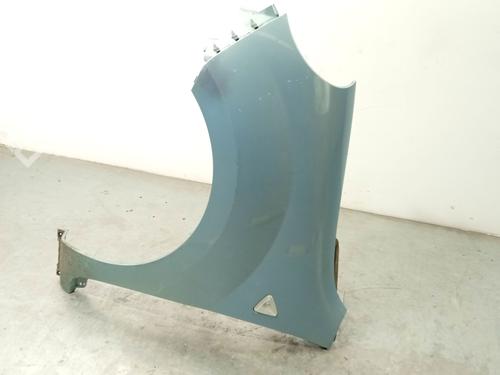 Left front fenders RENAULT KANGOO / GRAND KANGOO II (KW0/1_) 1.5 dCi 110 (KW0C, KW0H) | BP28729112C41 
