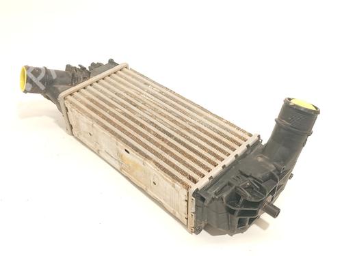 Used Intercooler Intercooler FORD TOURNEO CUSTOM V362 Bus (F3) 1.0 EcoBoost PHEV (125 hp) 35895745 35895745
