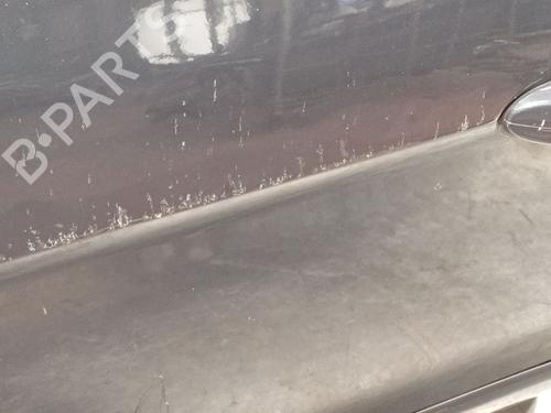 Dør venstre fortil FORD S-MAX (WA6) 2.0 TDCi | BP30615545C2