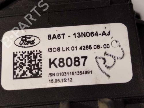 Steering column stalk FORD FIESTA VI (CB1, CCN)  | BP5933493I23 