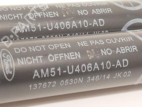 Siłownik klapy tylnej / bagażnika FORD GRAND C-MAX (DXA/CB7, DXA/CEU) | BP30287859C138