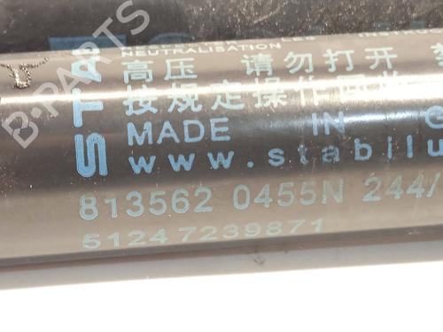 Tailgate lift support BMW 1 (F20) 116 d | BP20200778C138