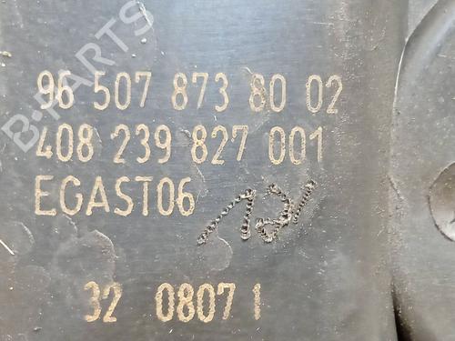 Throttle body CITROËN C5 II (RC_) 2.0 16V (RCRFJB, RCRFJC) | BP29173824M82