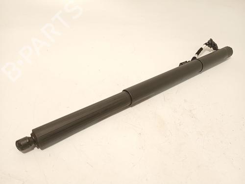 Tailgate lift support AUDI E-TRON (GEN) 50 quattro | BP31338173C138 - Image 2
