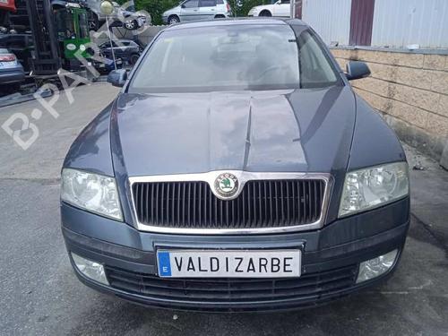 Right front door SKODA OCTAVIA II (1Z3)  | BP15184784C3 
