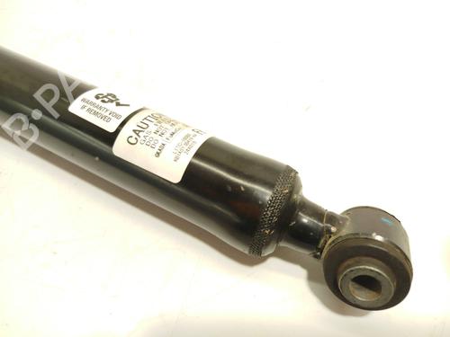 Right rear shock absorber FORD PUMA (J2K, CF7) | BP30125248M19