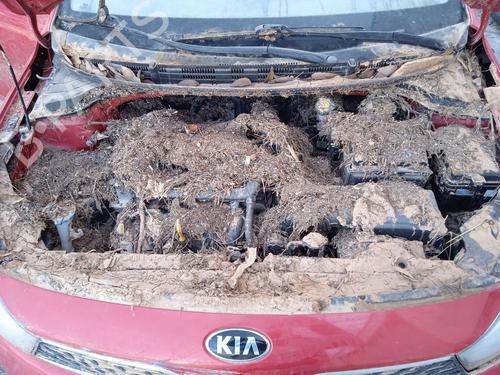 Rear wiper motor KIA RIO IV (YB, SC, FB) 1.25 | BP26595448M102