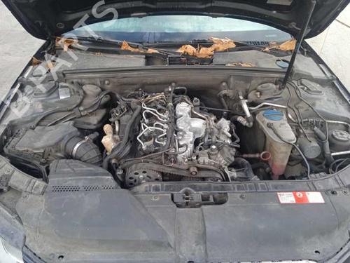 - Image 5