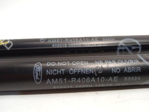 Tailgate lift support FORD C-MAX II (DXA/CB7, DXA/CEU) | BP19421402C138