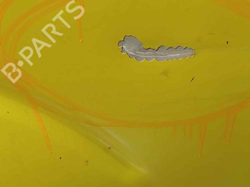 Right rear door NISSAN PATHFINDER III (R51)  | BP17212767C5 