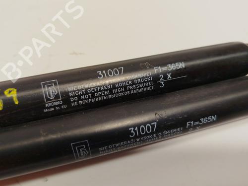 Tailgate lift support NISSAN QASHQAI / QASHQAI +2 I (J10, NJ10, JJ10E) 2.0 | BP26206994C138 