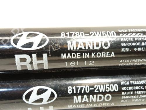 Tailgate lift support HYUNDAI SANTA FÉ III (DM, DMA) 2.2 CRDi | BP29325032C138 
