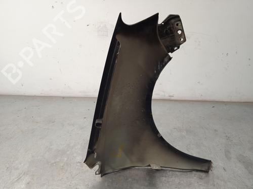 Left front fenders VW POLO (9N_, 9A_)  | BP21586041C41 