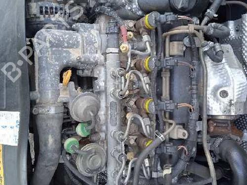 Tailgate MINI MINI (R50, R53) One D | BP9691166C6 