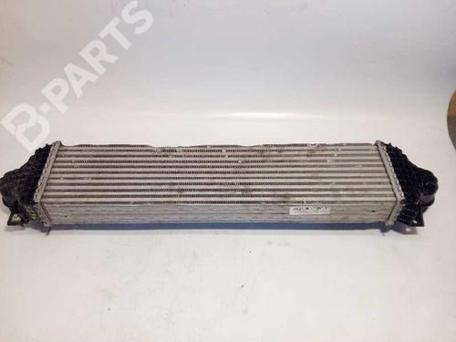 BP8900095M30 | Intercooler FORD USA EDGE 2.0 TDCi Bi-Turbo AWD BP8900095M30