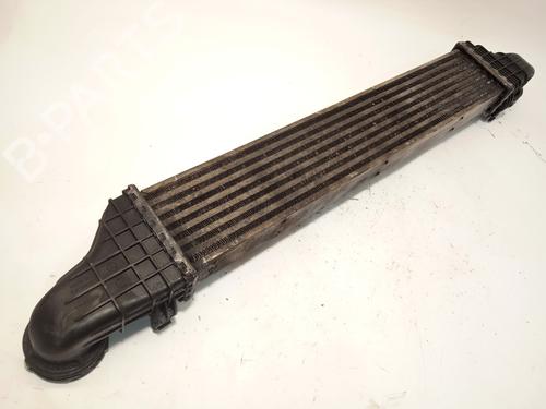 Intercooler MERCEDES-BENZ E-CLASS (W211) E 220 CDI (211.006) | BP29481572M30 