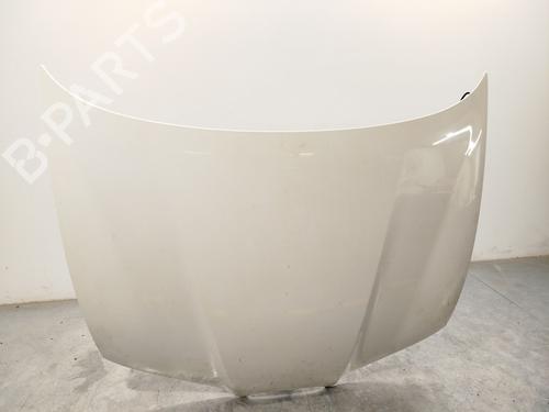 Used Hood SEAT IBIZA III (6L1) 1.9 TDI (100 hp) 30610656