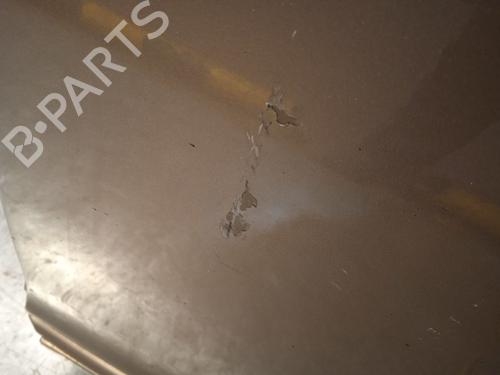 Left rear door MERCEDES-BENZ A-CLASS (W169)  | BP22728969C4 