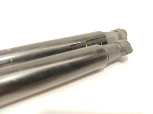 Tailgate lift support BMW 1 (F20) 116 d | BP24363734C138 