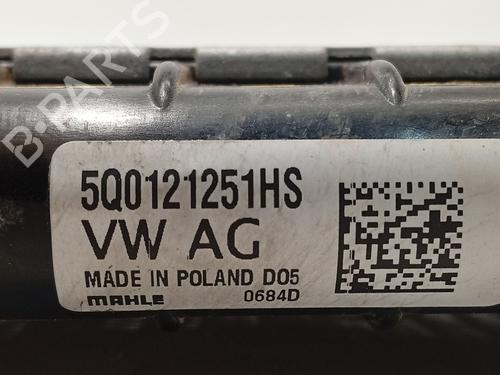 Water radiator AUDI Q2 (GAB, GAG) 2.0 TDI | BP31933895M31 