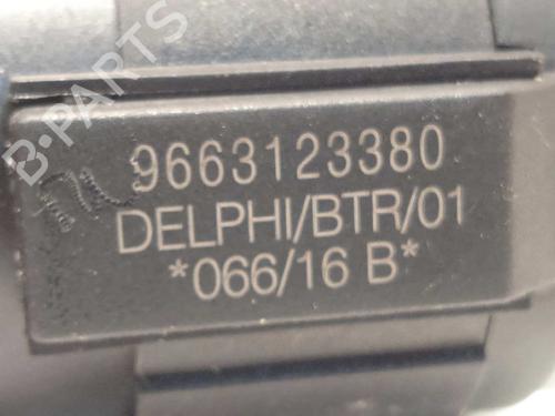 Ignition barrel PEUGEOT 308 II (LB_, LP_, LW_, LH_, L3_) 1.6 HDi 100 | BP17494920M48 