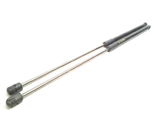 Tailgate lift support LAND ROVER RANGE ROVER EVOQUE (L538) 2.0 D | BP17486954C138