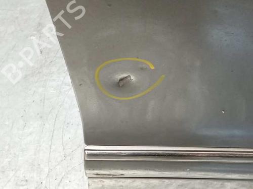 Right front door MERCEDES-BENZ S-CLASS (W220) S 320 CDI (220.025, 220.125) | BP10932300C3 