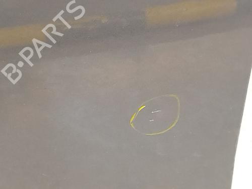 Left front door NISSAN QASHQAI / QASHQAI +2 I (J10, NJ10, JJ10E) 2.0 dCi | BP28114406C2 