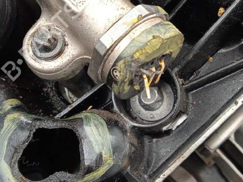 Engine BMW 5 Touring (G31)  | BP13056509M1 