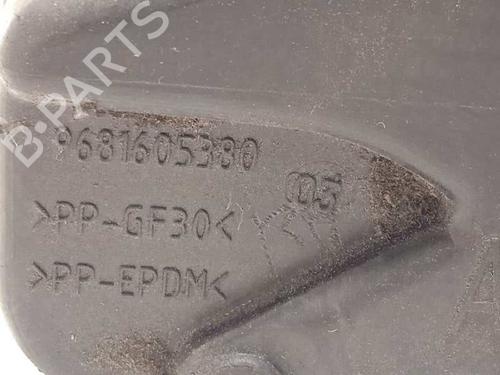 Fuel flap CITROËN C3 Picasso (SH_) 1.6 BlueHDi 100 | BP13252388C131
