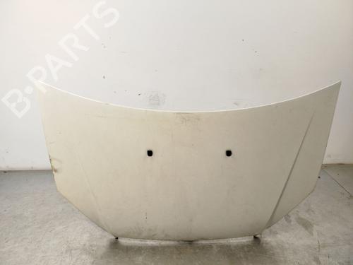 Used Hood FIAT DOBLO Box Body/MPV (223_) 1.9 JTD (105 hp) 21128806