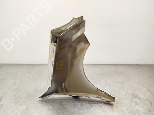 Left front fenders FIAT DOBLO Box Body/MPV (223_) 1.9 JTD | BP29862879C41