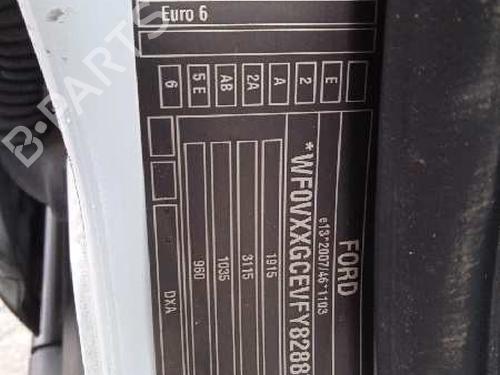 Engine FORD C-MAX II (DXA/CB7, DXA/CEU)  | BP19407077M1 