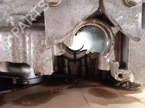 Engine BMW 8 Coupe (G15, F92)  | BP13056436M1 