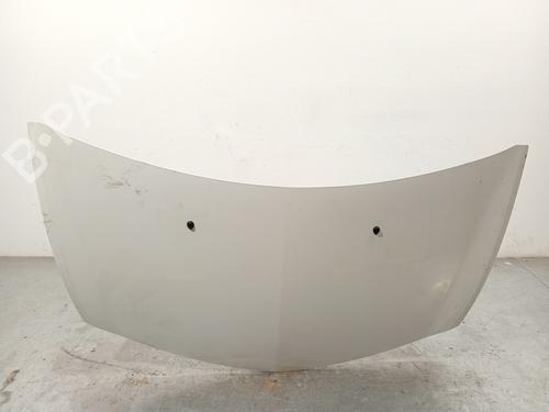 Capot RENAULT CLIO III (BR0/1, CR0/1) 1.2 16V (BR02, BR0J, BR11, CR02, CR0J, CR11) (75 hp) 30934777