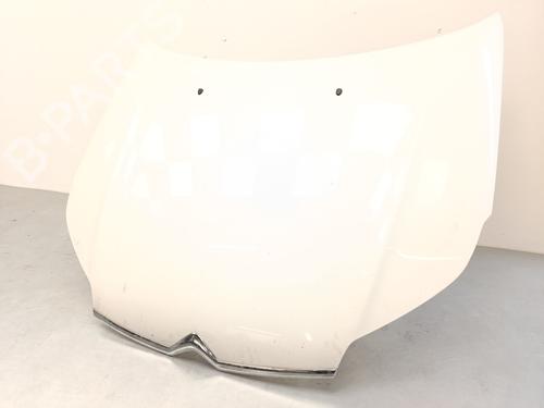 hood-citroen-c5-iii-rd_-2008-2009-2010-2011-2012-2013-2014-2015-2016-2017-35751436 main image
