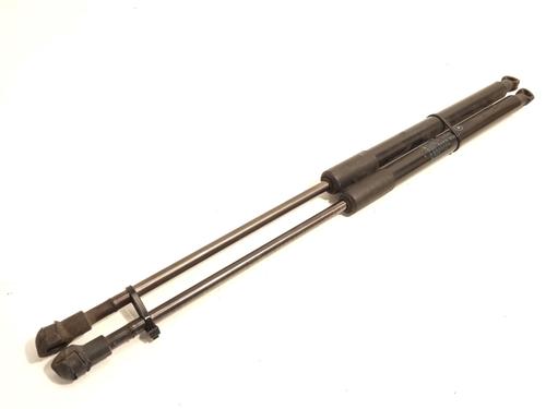 Used Tailgate lift support BMW 1 (F20) 116 d (116 hp) 20200778