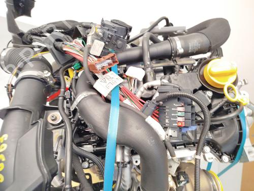 Engine DACIA SANDERO III 1.0 TCe 90 | BP36112560M1 - Image 8