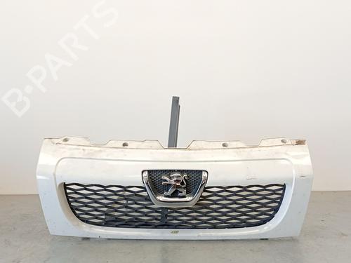 Used Grille Grille 37067905 37067905