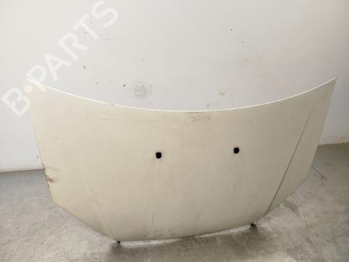 Hood FIAT DOBLO Box Body/MPV (223_) 1.9 JTD | BP21128806C1 