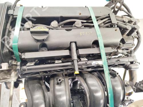 Engine FORD FIESTA VI (CB1, CCN) | BP24663491M1 - Image 8