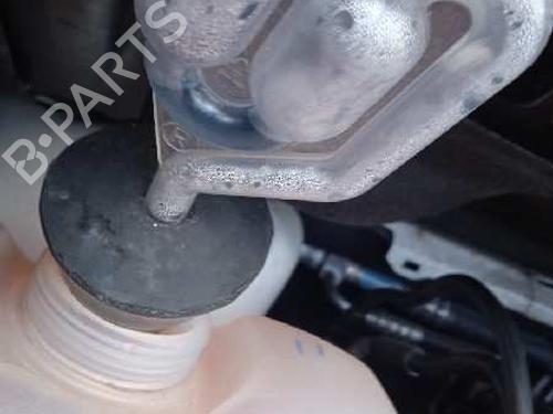 Engine FORD C-MAX II (DXA/CB7, DXA/CEU)  | BP19407077M1 