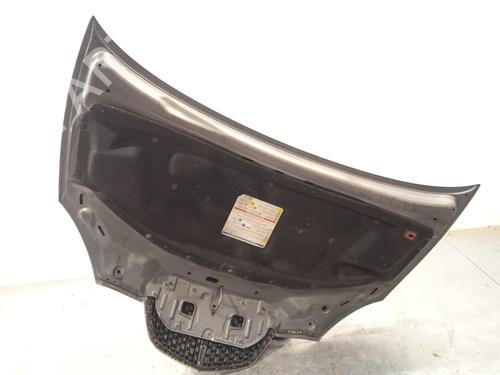 Hood LANCIA YPSILON (843_) 1.3 D Multijet (843.AXE11, 843.AXE1A) | BP30168166C1 